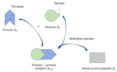 Synthetic Biology and Control Theory: Designing Synthetic Biomolecular