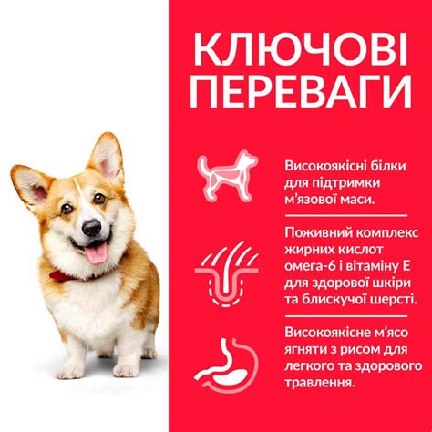 Сухий корм HILL`S (Хілс) Adult Small & Miniature Lamb для дорослих ...