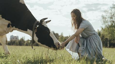 Хочу стать фермером. Как оформить личное подсобное хозяйство. Плюсы ЛПХ ...