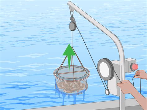 guide to shrimp limping step by step 4