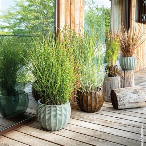 Collections | deroma