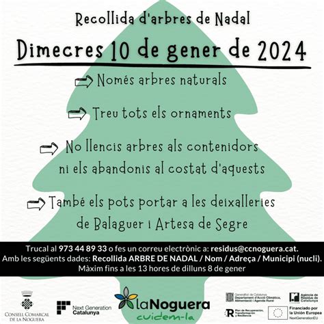 Nou Servei De Recollida Dels Arbres De Nadal Del Consell Comarcal