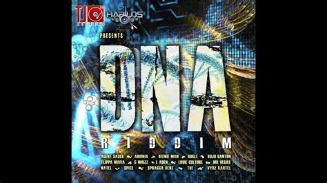 Dna Riddim Mix 2010 Dancehall Youtube