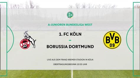 A Junioren Bundesliga Fc K Ln Borussia Dortmund