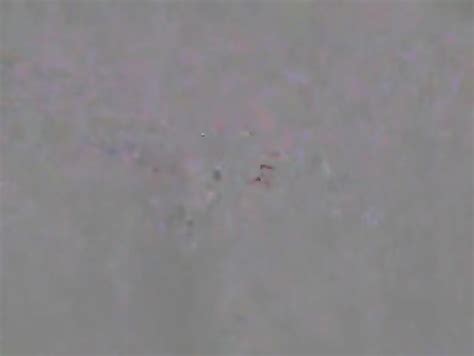 Really Beautiful Korean GF S Dirty Sex Part 2