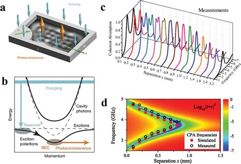 Hybrid Photonic And Other Pt Symmetric Systems Exciton Polaritons And