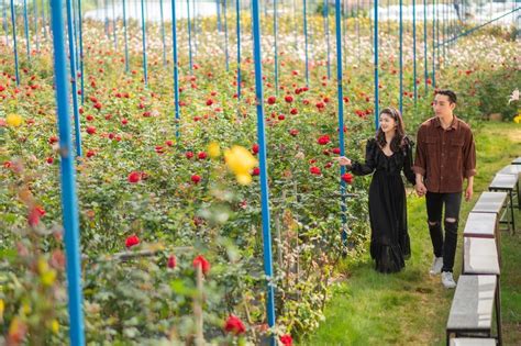 C C I M Du L Ch L T Hot Nh T N M