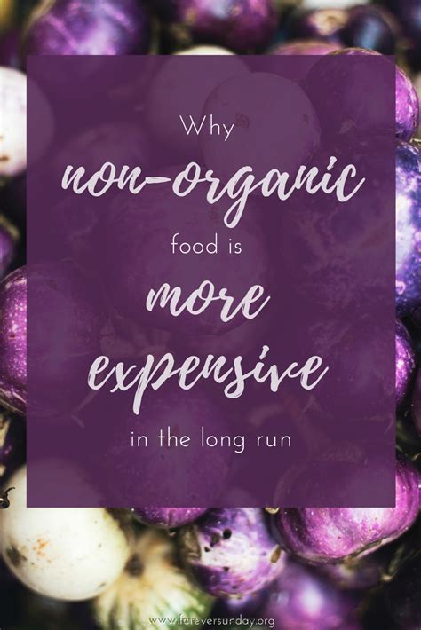 Why non-organic food is more expensive for you in the long run ...