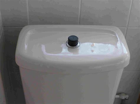 easy push toilet flush remap