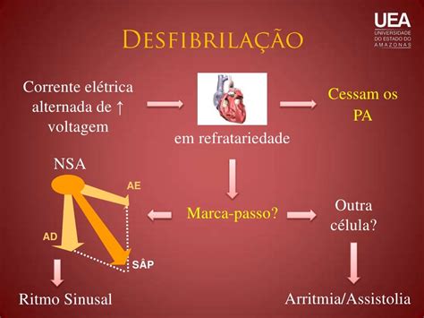 Desfibrilação E Cardioversão - Desfibrilação e cardioversão