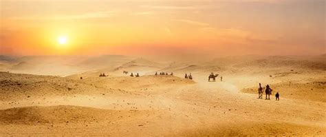 Egypt Desert Pictures | Download Free Images on Unsplash