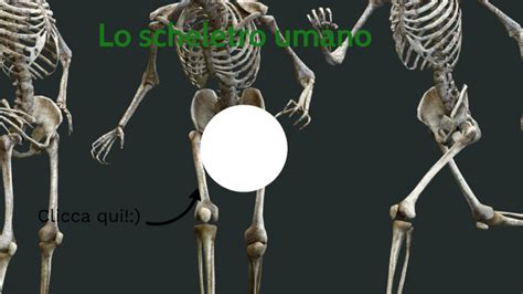 lo scheletro  gabi  prezi