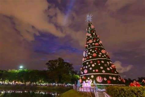 Rvore De Natal Do Ibirapuera Em Ser A Maior Da Hist Ria Do