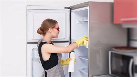 Los Mejores Trucos Para Eliminar El Mal Olor De La Nevera De Forma Sencilla Mui Kitchen