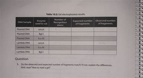 Solved Table 10 2 Gel Electrophoresis Results DNA Sample Chegg