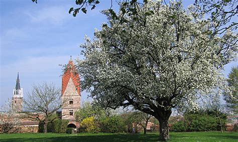 Bayerische Schl Sserverwaltung Burg Trausnitz Au Enanlagen