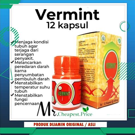 Jual Vermint Vermin Obat Untuk Typus Tipes Obat Demam Herbal