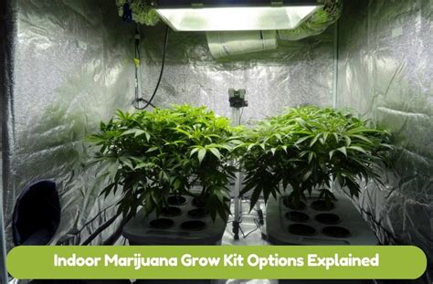 101 of Best Complete Marijuana Grow Tent Kit | Grow Box Kit [2025 Reviews]