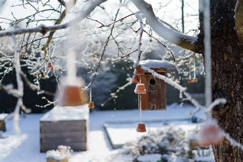 Haus Und Garten Winterfest Machen Selbermachen De