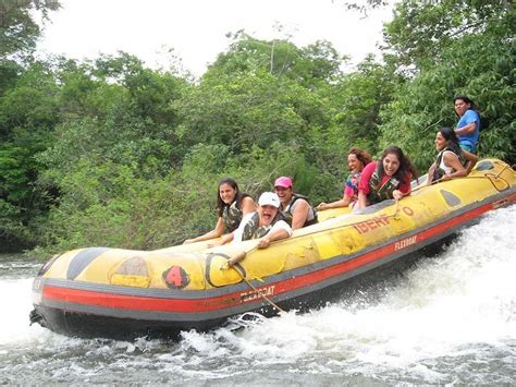 Passeio De Bote No Rio Formoso Vale A Pena Descubra Aqui