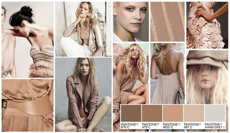 Nude Brown Color And Mood Board With Pantone Color Trends Tan Color