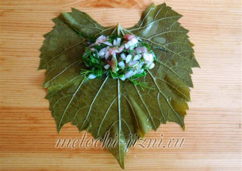 Долма в виноградных листьях домашний рецепт