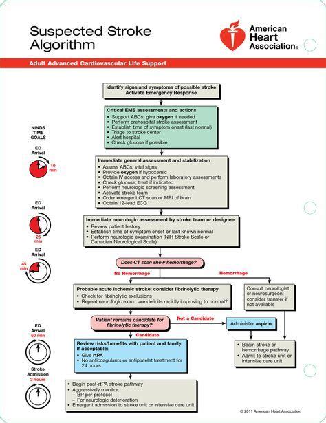 Acls Emergency Crash Cart Cards 90 Acls Pharmacology Med Cards Icu