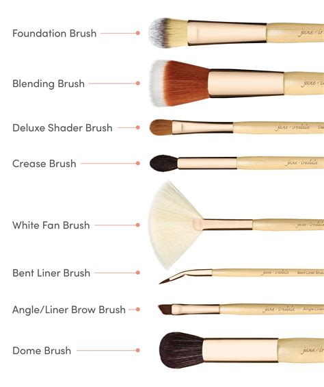 8 Makeup Brushes You Actually Need Jane Iredale Australia