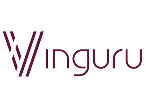 VINGURU - Wind Deflectors