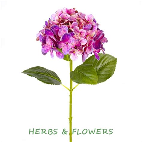 Гортензия искусственная темно-розовый купить Цветы в Москве с доставкой