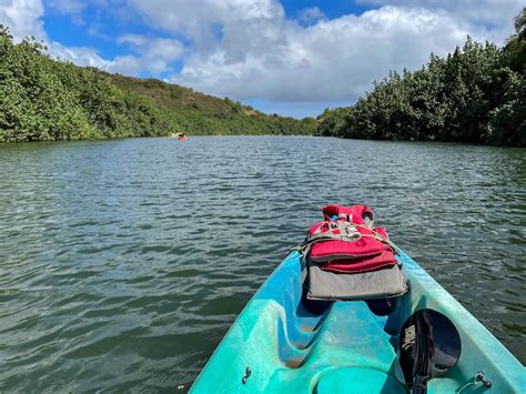 Wailua River Kayak Tour What To Expect Tours And Tips 2025