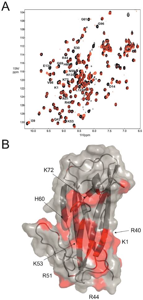 Fibronectin Binding Site Mapping Using Nmr A Overlaid 1 H 15 N Hsqc