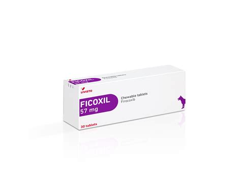 Introducing Ficoxil: bringing relief and mobility back to dogs in pain ...