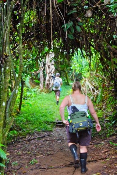 My Stupid Mistake While Hiking Corcovado National Park, Costa Rica