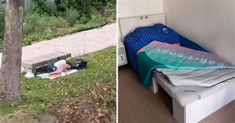 Inside Dreadful Olympic Village Sex Fests On Eco Cardboard Beds And Tasteless Food Daily