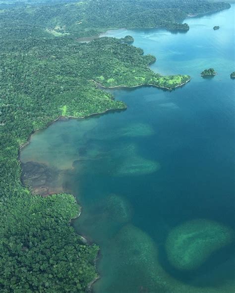 Costa Rica Bienvenidos A La Reserva Forestal Golfo Dulce Visit