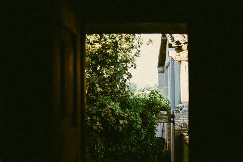 kodak gold 200 on Behance