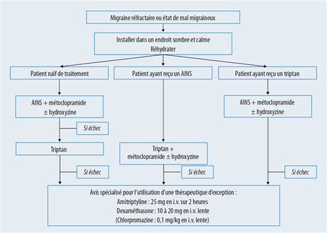 Recommandations françaises pour la prise en charge des céphalées en