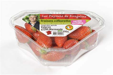 Barquette Triangle Fraises 250g Les Paysans De Rougeline