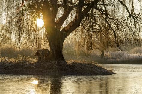 Sony FE lenses: The honest Guide for the a7/a7II/a7III/a7rII/a7rIII ...