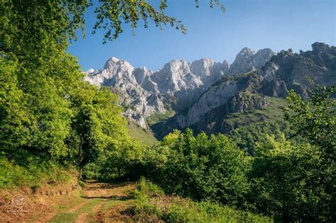 Hiking In Picos De Europa Spain Day Hikes And Treks