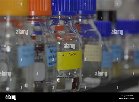 Buffer solutions on laboratory shelves Stock Photo - Alamy