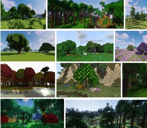 Dynamic Trees - Mods - Minecraft | Tree Types