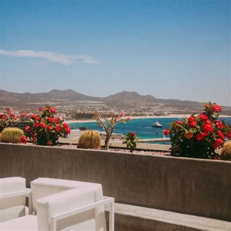 Search & Book Direct Flights to Cabo San Lucas | 600 + Airlines