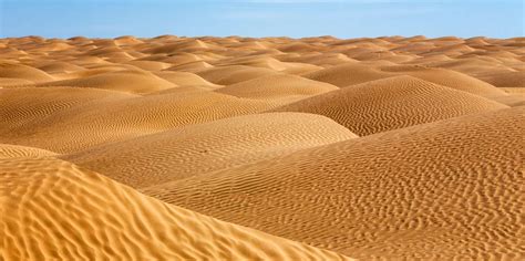 Sahara Desert Tunisia에서 당일 여행 Getyourguide