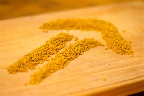 Как увеличить количество грудного молока с помощью семян пажитника