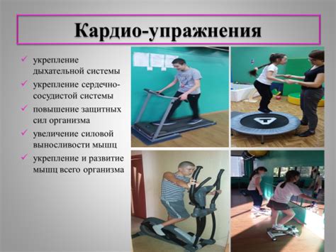 Система кардио: Доппельгерц® V.I.P. Кардио система 3