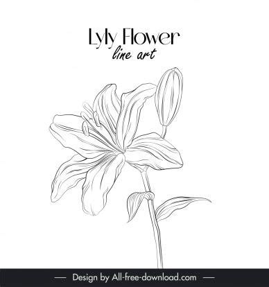 Flower vectors images