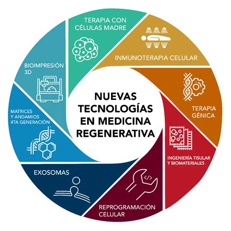 Qu Es La Medicina Regenerativa Ingecell