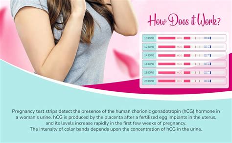 Clinical Guard Pregnancy Test Strips Hcg